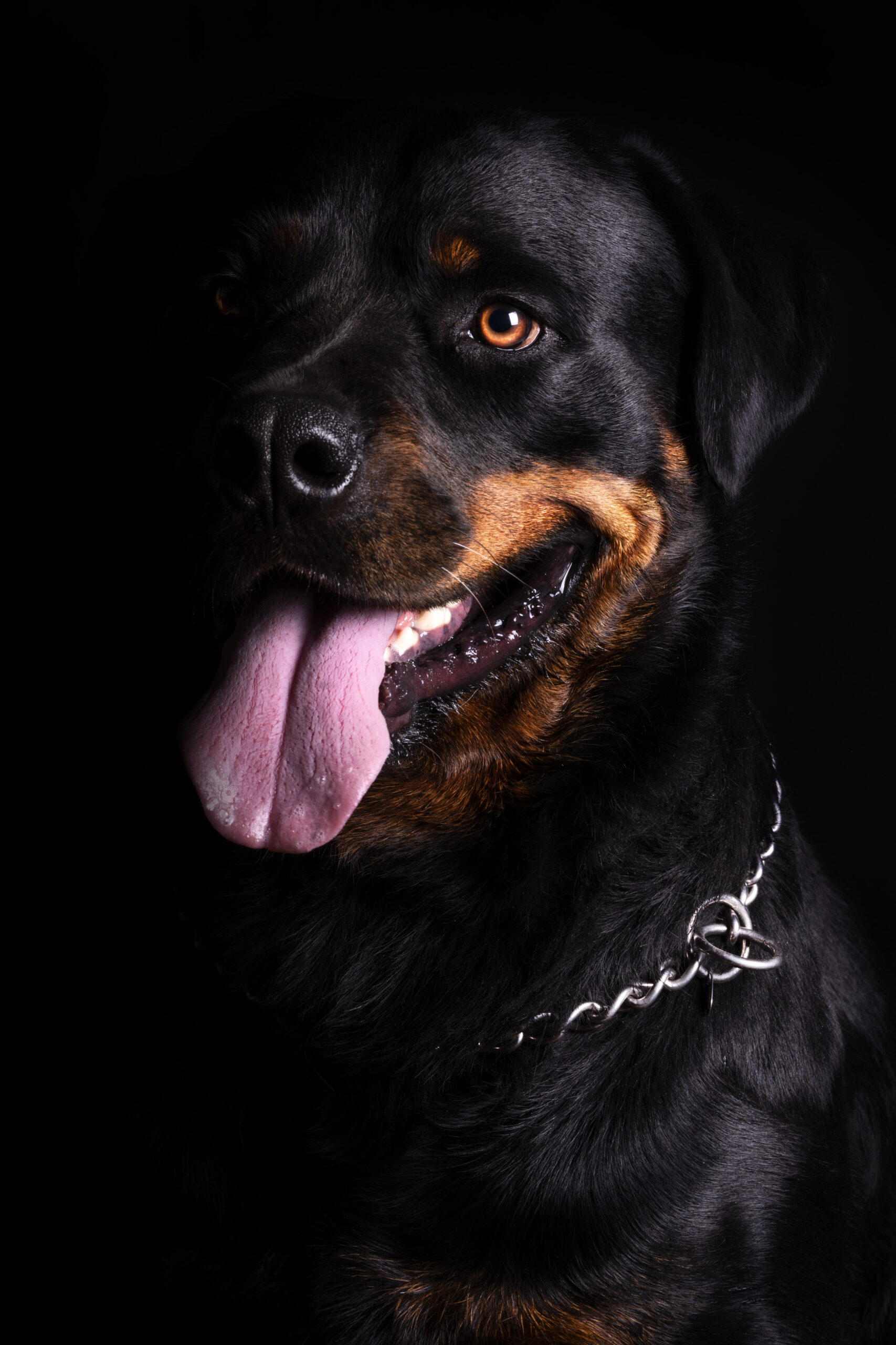 _DSC6984 hd