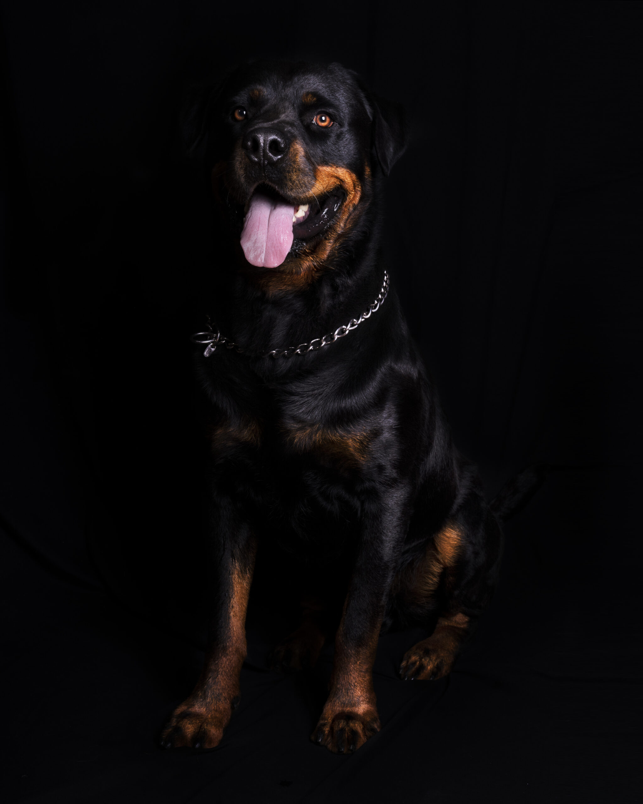 _DSC7018 hd